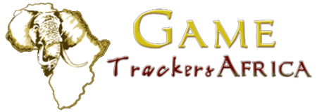 GTA Png
